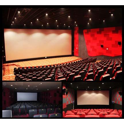 Large Cinema/Theate Field Screen